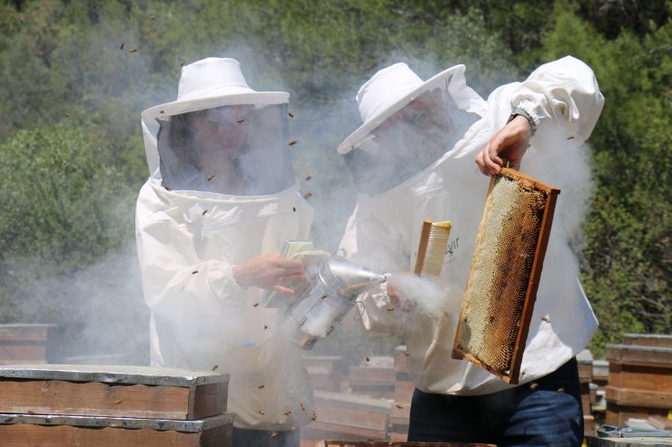 Türk arıcılar ‘oğul balını’ dünyaya tanıtıyor