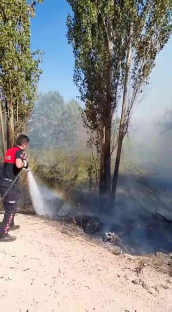 Ağaçlık alanda çıkan yangın korkuttu
