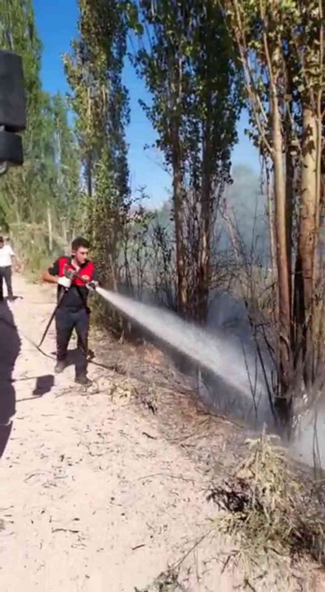 Ağaçlık alanda çıkan yangın korkuttu