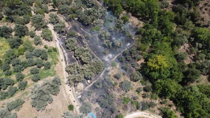 Bozdoğan’da zirai alandaki yangın söndürüldü