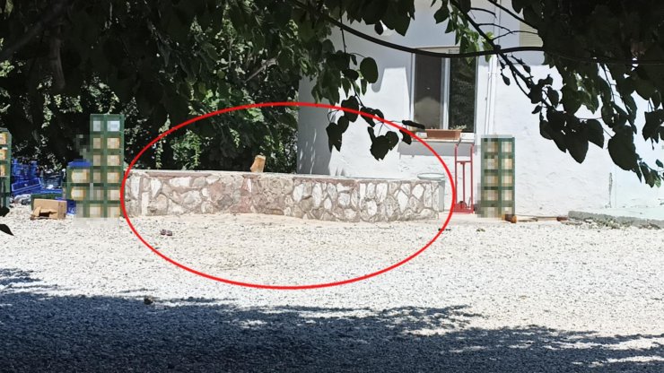 Cinayete kurban giden Konyalı Zehra'nın ölümüyle ilgili adli tıp raporu açıklandı