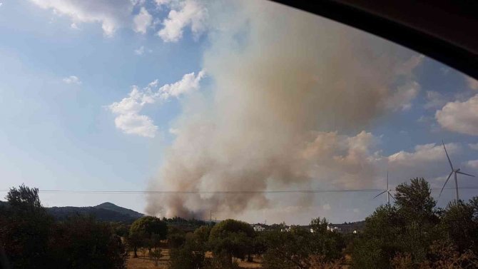 İzmir’de ziraat arazisinde yangın