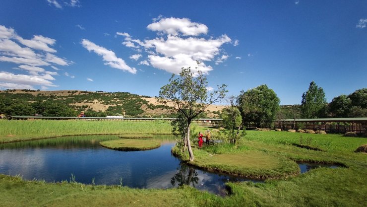 Profesörden yüzen adalar için 'Kurallara uyulmazsa kaybederiz' uyarısı