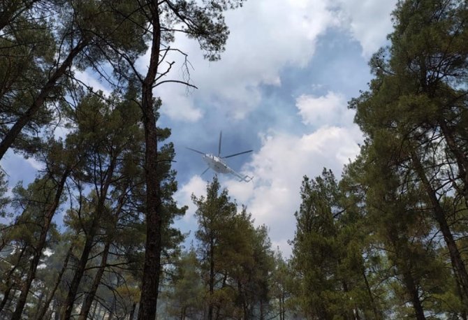 Tavşanlı’da orman yangını helikopter desteği ile kısa sürede söndürüldü