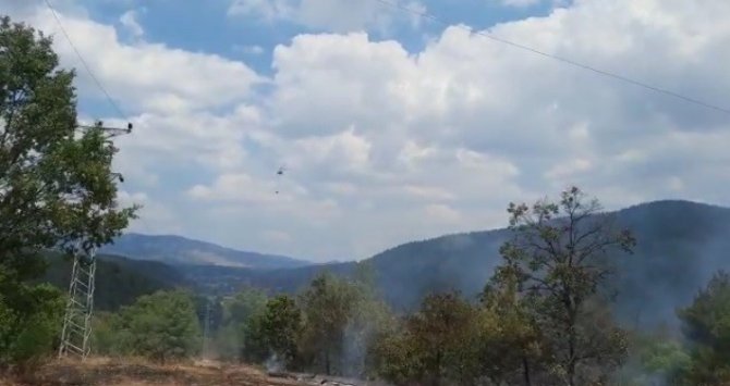 Tavşanlı’da orman yangını helikopter desteği ile kısa sürede söndürüldü