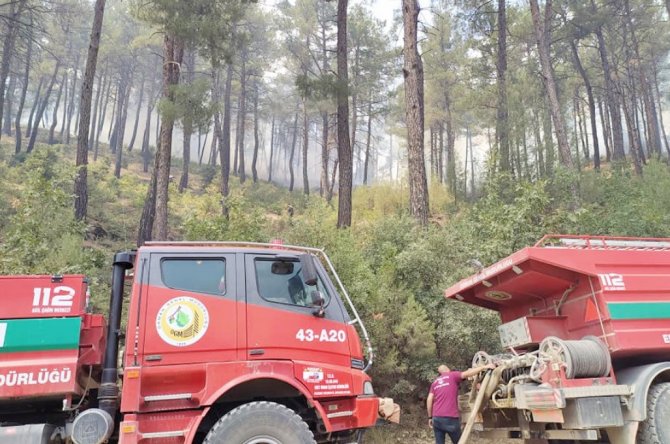 Tavşanlı’da orman yangını helikopter desteği ile kısa sürede söndürüldü