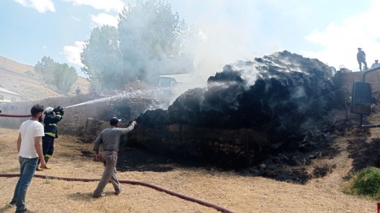 Van'da 5 bin bağ ot yandı