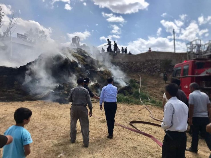 Van'da 5 bin bağ ot yandı