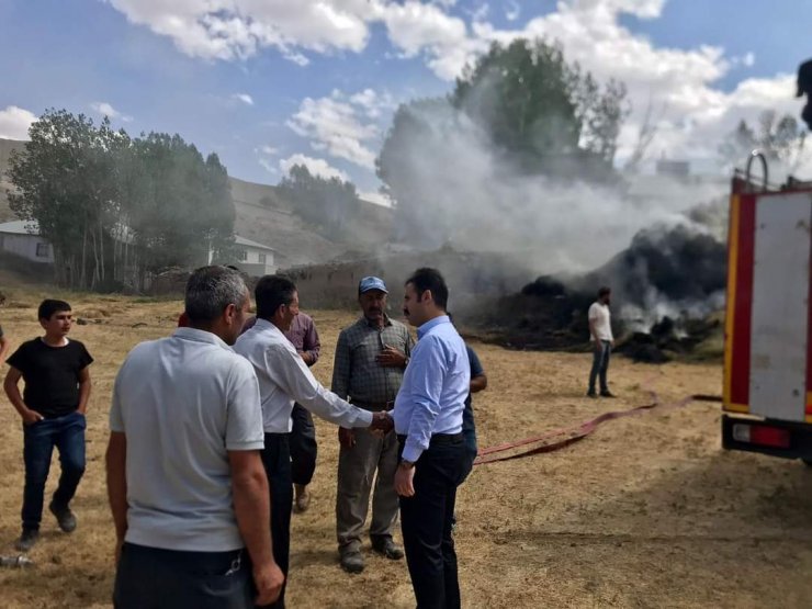 Van'da 5 bin bağ ot yandı