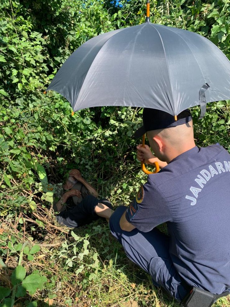 3 gündür kayıp Alzheimer hastası, ormanda bulundu
