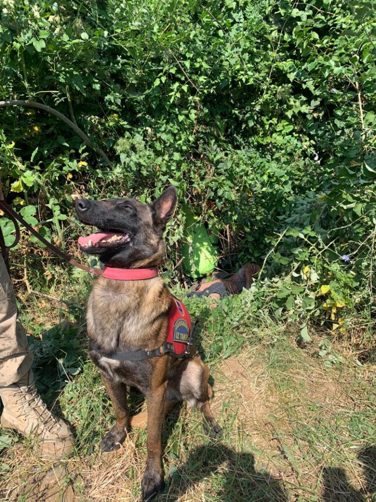 3 gündür kayıp Alzheimer hastası, ormanda bulundu