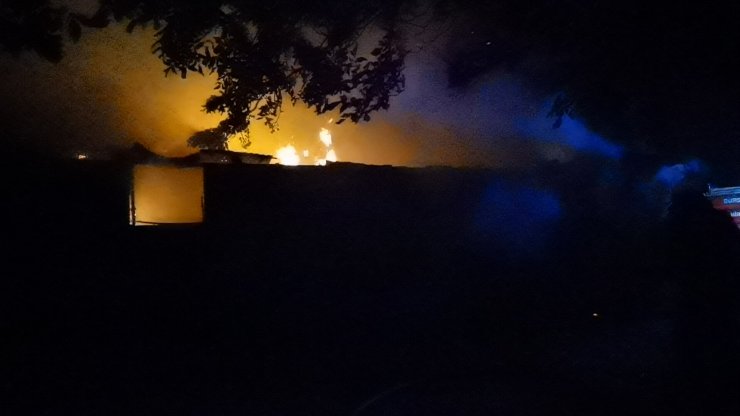 Ahır yangınında 10 günlük 'Kahve' kurtarıldı, 6 inek öldü