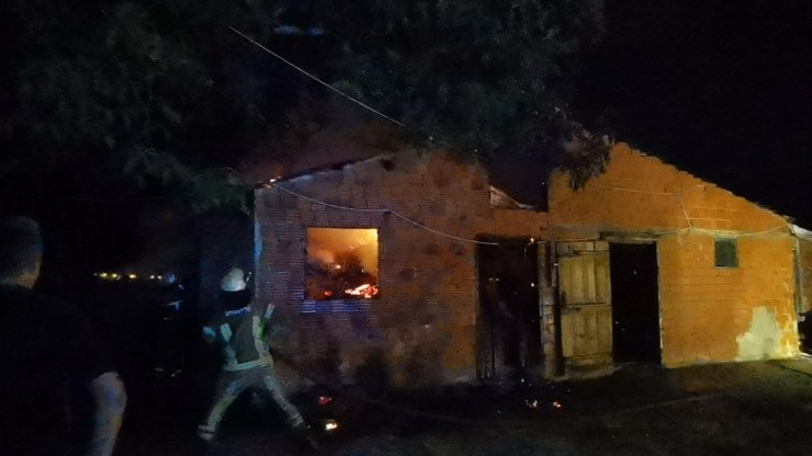 Ahır yangınında 10 günlük 'Kahve' kurtarıldı, 6 inek öldü