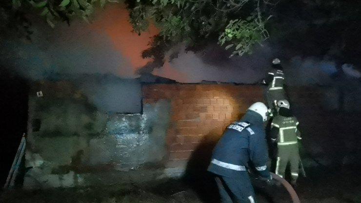 Ahır yangınında 10 günlük 'Kahve' kurtarıldı, 6 inek öldü