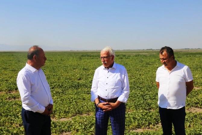 Başkan Oprukçu ve Rektör Zorlu Organik Tarım Projesi’ni inceledi