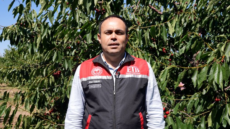 Eskişehir'in 1352 rakımlı ilçesinden Avrupa'ya kiraz ihracı