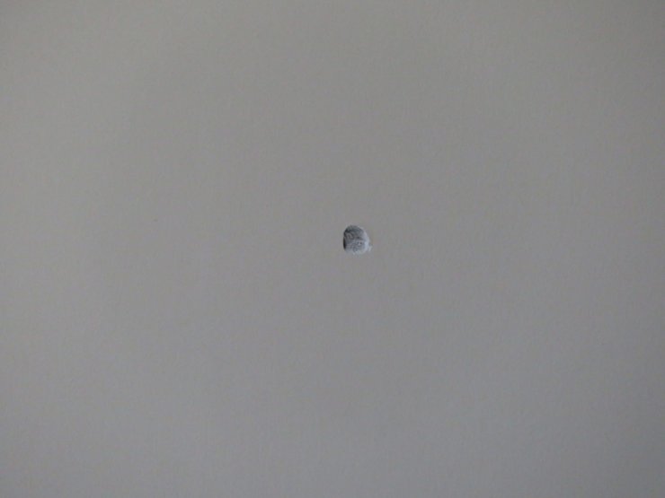 İşten çıkarılınca şantaj yaptığı ileri sürülen kadının eve silahlı saldırı düzenletti iddiası