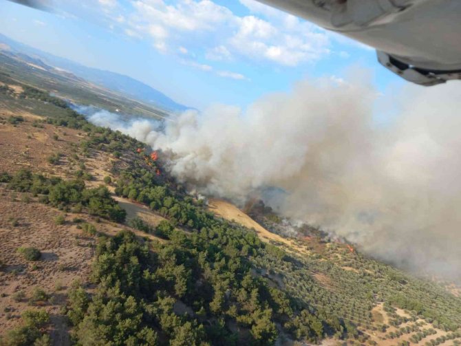 İzmir’de çıkan yangın kontrol altına alındı