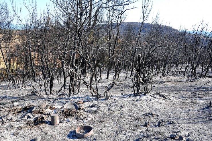 Manisa'da, 5 gün arayla 444 hektar alan yandı