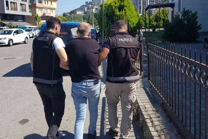 Uyuşturucu operasyonunda 118 kök kenevir ele geçirildi