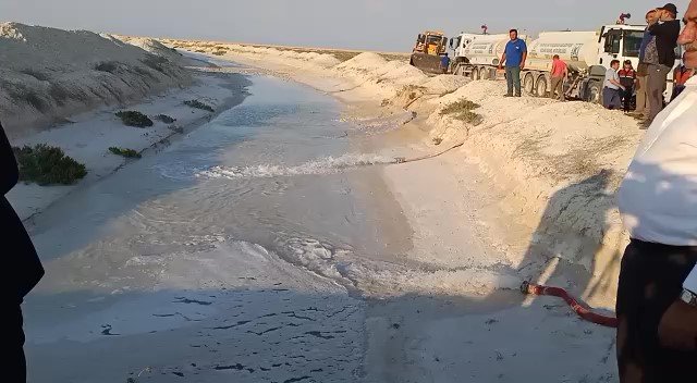 Flamingoların kritik 15 günü için bakanlık çalışma başlattı