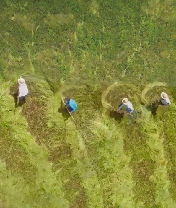 Iğdırlı fotoğraf sanatçısının çektiği video milyonlar tarafından izlendi