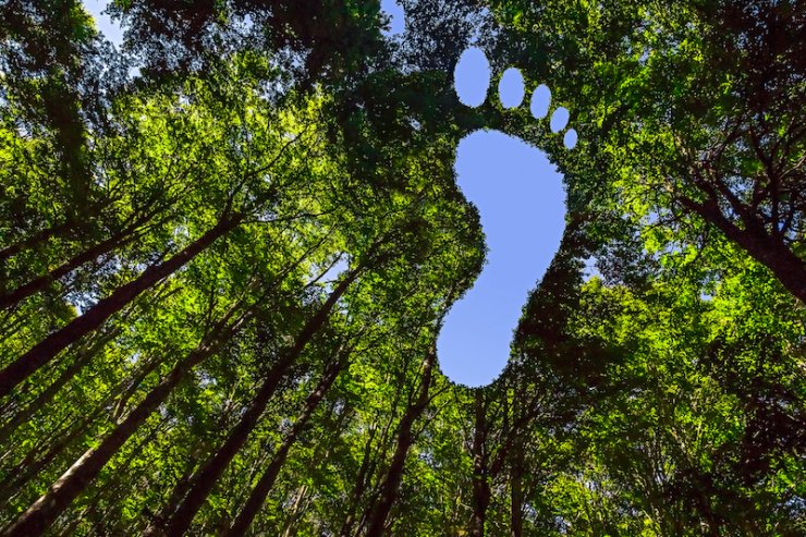 Karbon ayak izini sıfırlayan kripto projesi geliştirildi