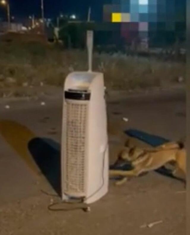 Klimanın içindeki uyuşturucu 'Layka' buldu