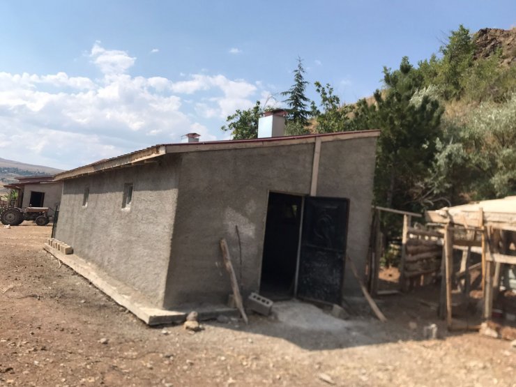 Kümesinde beslediği 120 tavuğu çaldılar