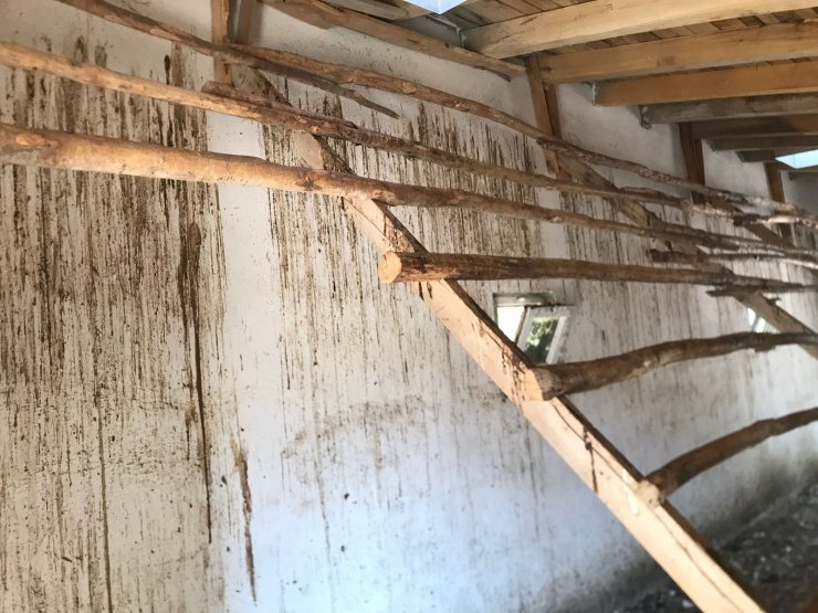 Kümesinde beslediği 120 tavuğu çaldılar