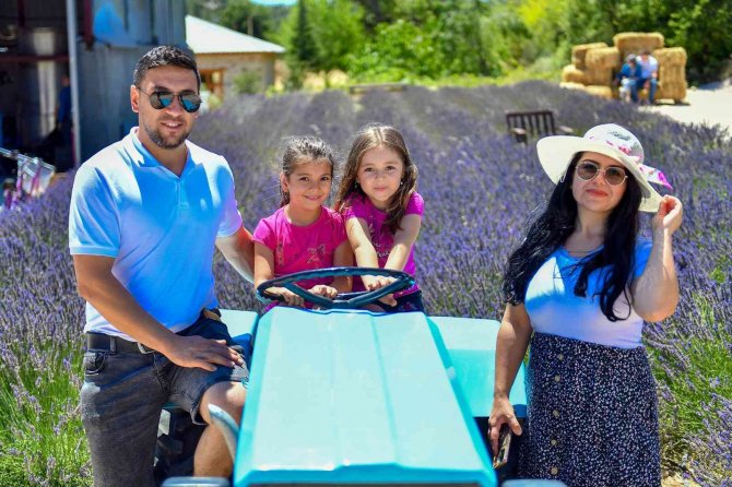 Mersin’de köylüler lavantayı sevdi