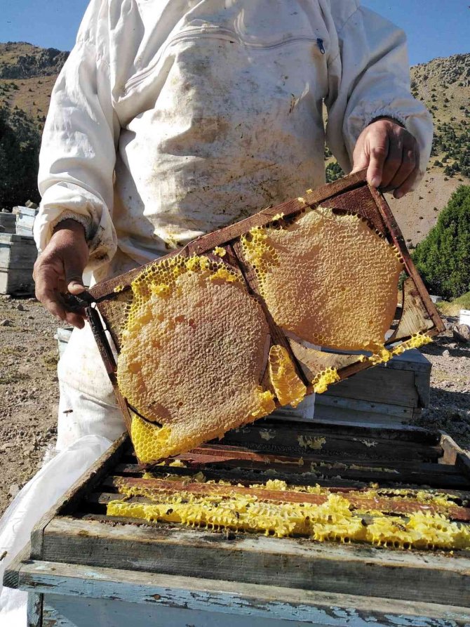 Ömrünü Arıcılığa adamış üretici bu yılki verimden ümitli