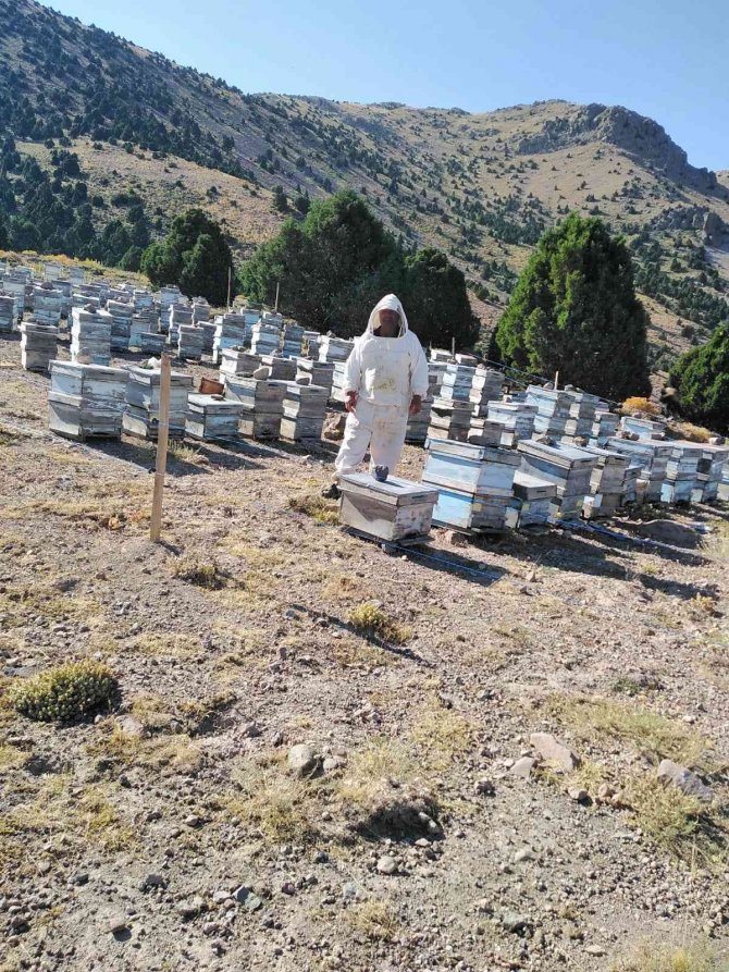 Ömrünü Arıcılığa adamış üretici bu yılki verimden ümitli