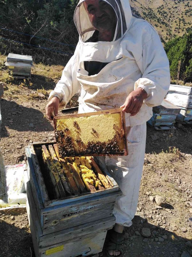 Ömrünü Arıcılığa adamış üretici bu yılki verimden ümitli
