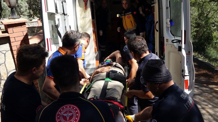 Ormanda yürüyüşe çıktı, yamaçtan yuvarlandı