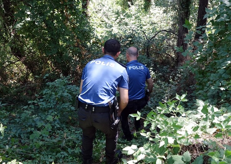 Ormanda yürüyüşe çıktı, yamaçtan yuvarlandı