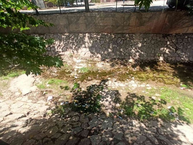 Yemişen Deresindeki yılanlar paniğe neden oluyor