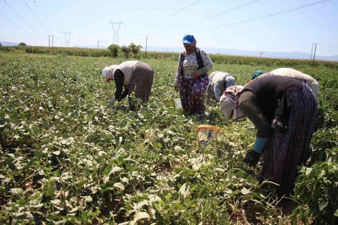 10 kilometrelik mesafede fiyatı iki katına çıkıyor