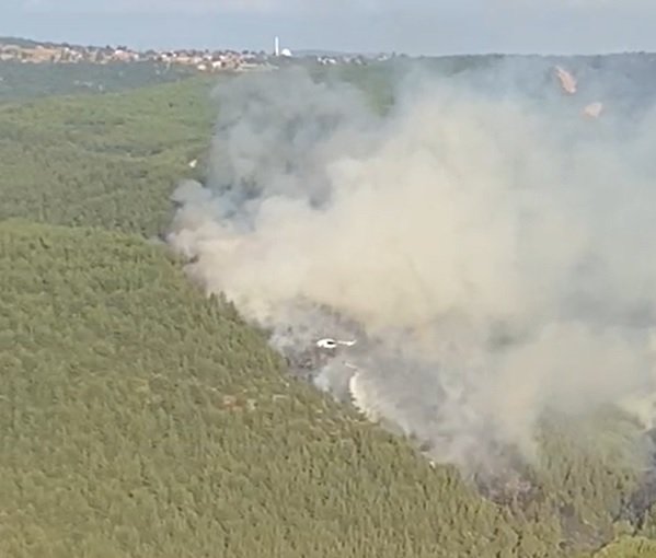 Balıkesir'de orman yangını