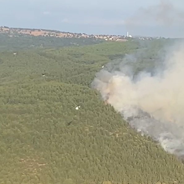 Balıkesir'de orman yangını