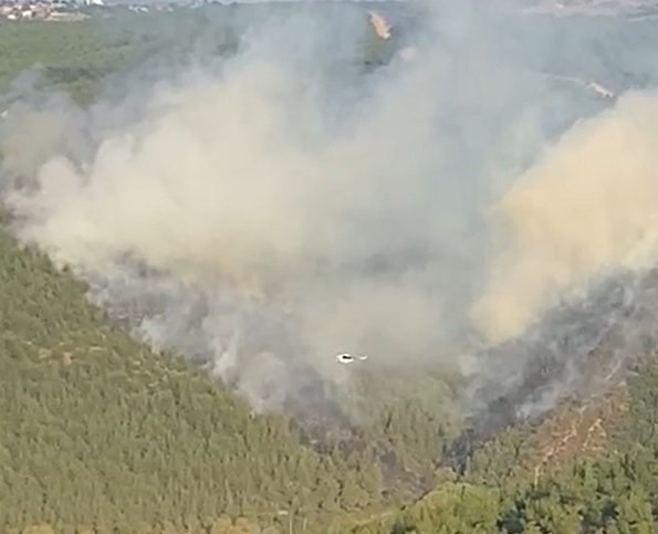 Balıkesir'de orman yangını