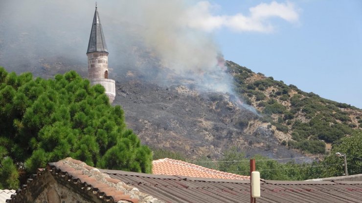 Çanakkale'de makilik yangını, ormana sıçradı