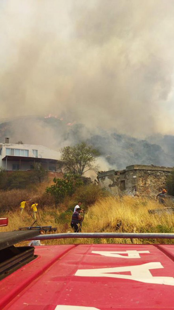 Çanakkale'de makilik yangını, ormana sıçradı