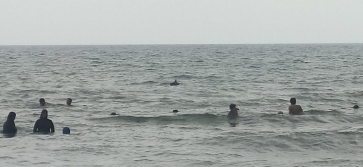 Denizde mayın sandıkları cisim televizyon çıktı