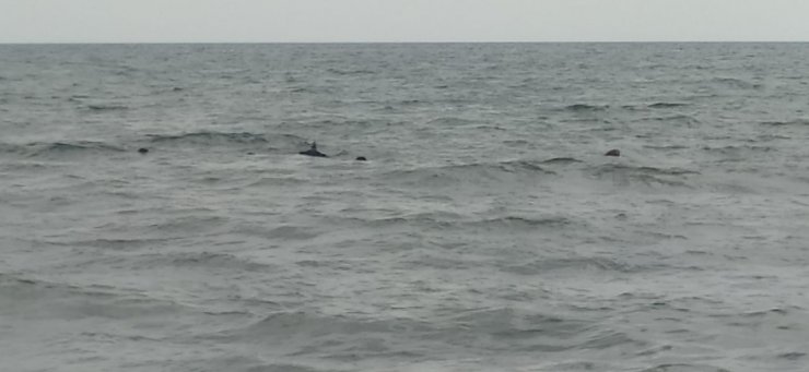 Denizde mayın sandıkları cisim televizyon çıktı