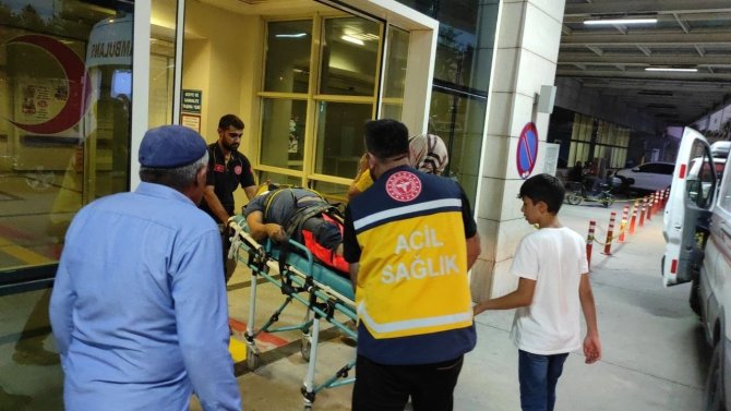 Odun yüklü kamyon devrildi: 6 yaralı