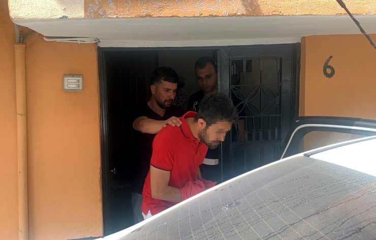 Uyuşturucu baskını; bahçede yetiştirilen Hint kenevirleri ele geçirildi