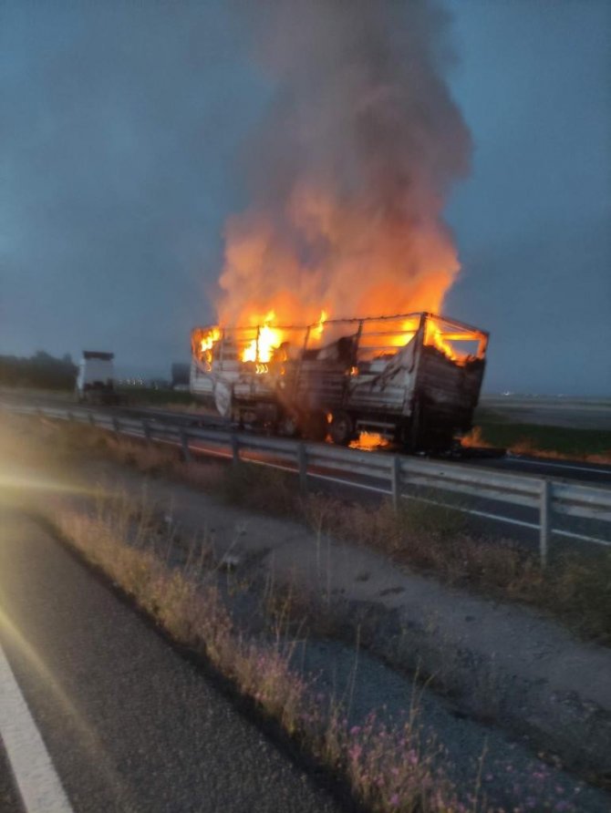 Ağrı’da seyir halindeki tır alev aldı