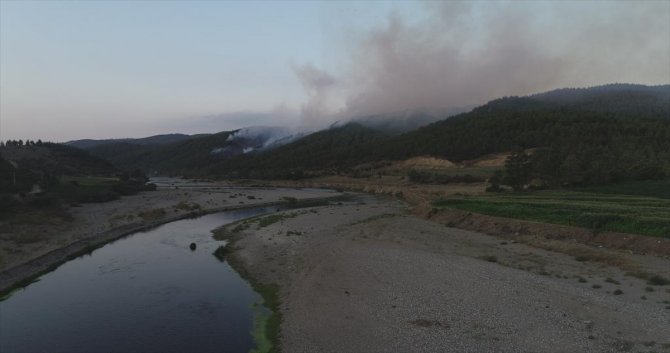 Balıkesir'deki orman yangını kontrol altına alındı