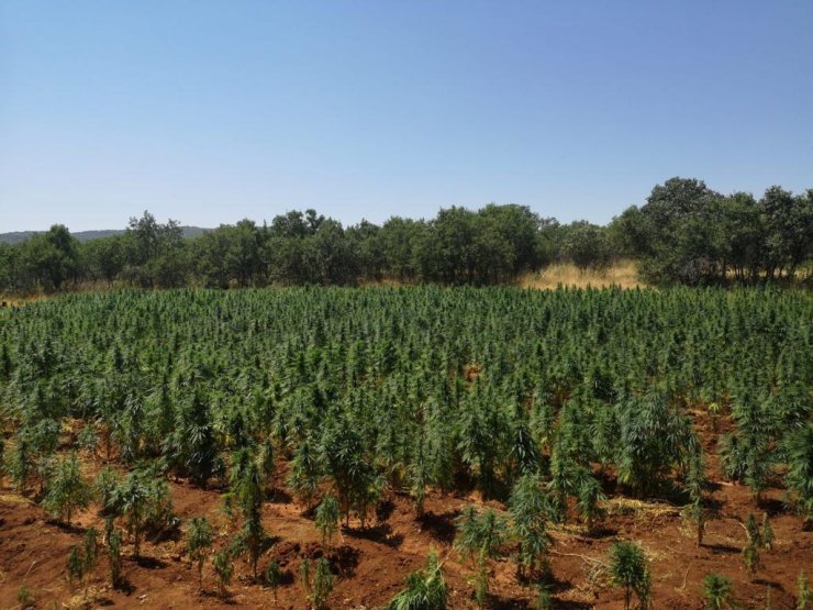 Diyarbakır'da 'Eren Abluka-30 Narko Terör' operasyonu başlatıldı